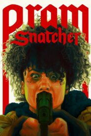 Pram Snatcher 2022 one on netflix
