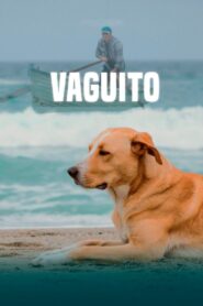 Vaguito 2024 one on netflix