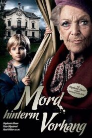 Murder Behind The Curtain 2011 one on netflix
