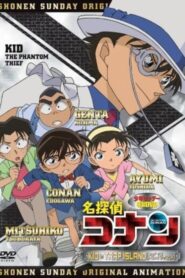 Detective Conan OVA 10: Kid in Trap Island 2010 one on netflix