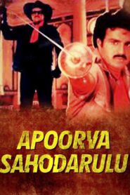 Apoorva Sahodarulu 1986 one on netflix
