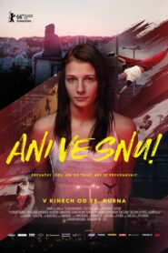 In Your Dreams! 2016 one on netflix