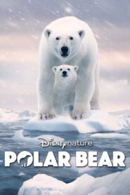 Polar Bear 2022 one on netflix