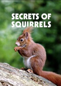 Secrets of Squirrels 2018 one on netflix