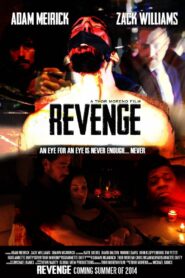 Revenge: A Love Story 2014 one on netflix