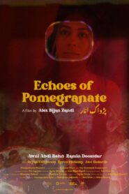Echoes of Pomegranate 2024 one on netflix