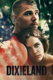 Dixieland 2015 one on netflix