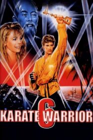 Karate Warrior 6 1993 one on netflix
