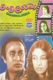 Chanchala Rekha 1981 one on netflix