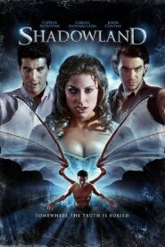 Shadowland 2010 one on netflix