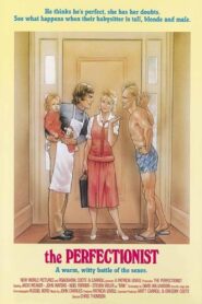 The Perfectionist 1985 one on netflix