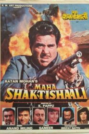 Maha Shaktishaali 1994 one on netflix