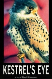 Kestrel’s Eye 1998 one on netflix
