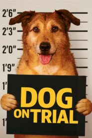 Dog on Trial 2024 one on netflix