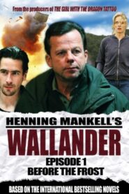 Wallander: Before the Frost 2005 one on netflix