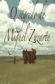 O Segredo de Miguel Zuzarte 2010 one on netflix
