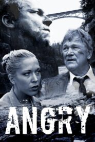 Angry 2010 one on netflix