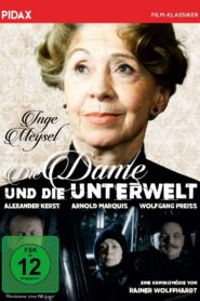 Die Dame und die Unterwelt 1984 one on netflix