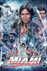 Miami Connection 1987 one on netflix