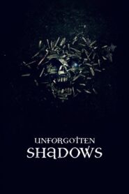 Unforgotten Shadows 2013 one on netflix