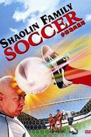 Silly Kung Fu Family 2004 one on netflix