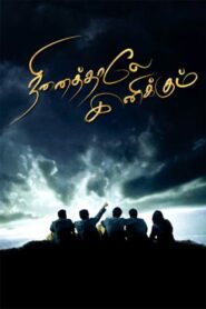 Ninaithale Inikkum 2009 one on netflix