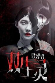 Twin Spirit 2015 one on netflix