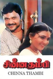 Chinna Thambi 1991 one on netflix