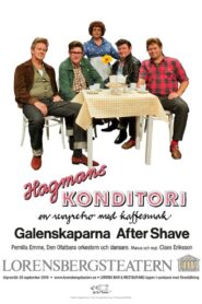 Hagmans konditori 2013 one on netflix