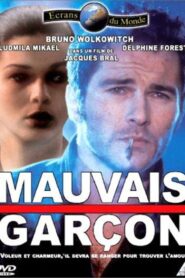 Mauvais garçon 1993 one on netflix