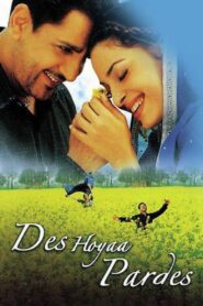 Des Hoyaa Pardes 2004 one on netflix
