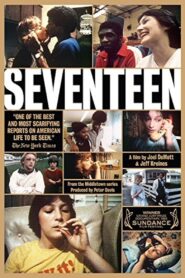 Seventeen 1983 one on netflix