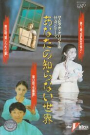 The World You Don’t Know II 1991 one on netflix