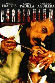 Curriculum 2006 one on netflix