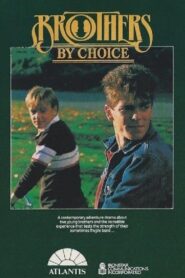 Brothers by Choice 1986 one on netflix