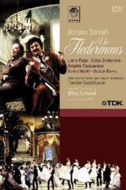 Strauss: Die Fledermaus 1980 one on netflix