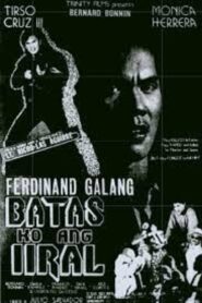 Lt. Nicholas Aguirre: Batas ko ang iiral 1992 one on netflix