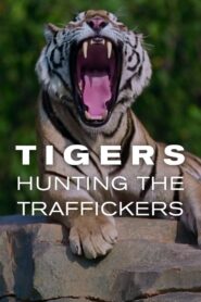 Tigers: Hunting the Traffickers 2020 one on netflix