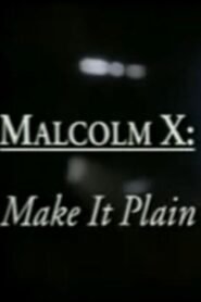 Malcolm X: Make It Plain 1994 one on netflix