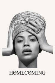 HOMECOMING: A film by Beyoncé 2019 one on netflix