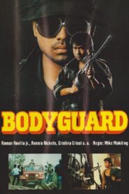 Bodyguard 1989 one on netflix