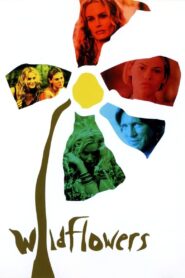 Wildflowers 2000 one on netflix