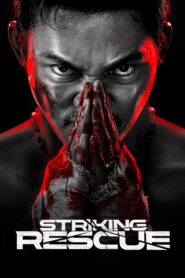 Striking Rescue 2024 one on netflix