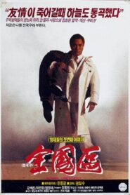 The Nationwide Constituency 1991 one on netflix