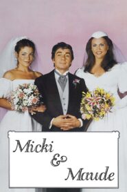Micki & Maude 1984 one on netflix