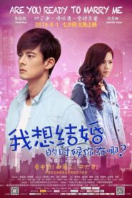 Are You Ready to Marry Me? 2014 one on netflix
