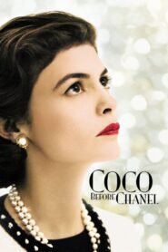 Coco Before Chanel 2009 one on netflix