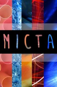Micta 2012 one on netflix