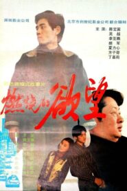 燃烧的欲望 1996 one on netflix