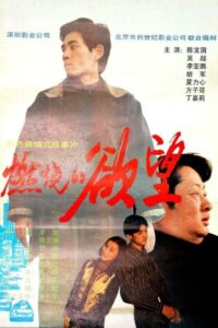燃烧的欲望 1996 one on netflix